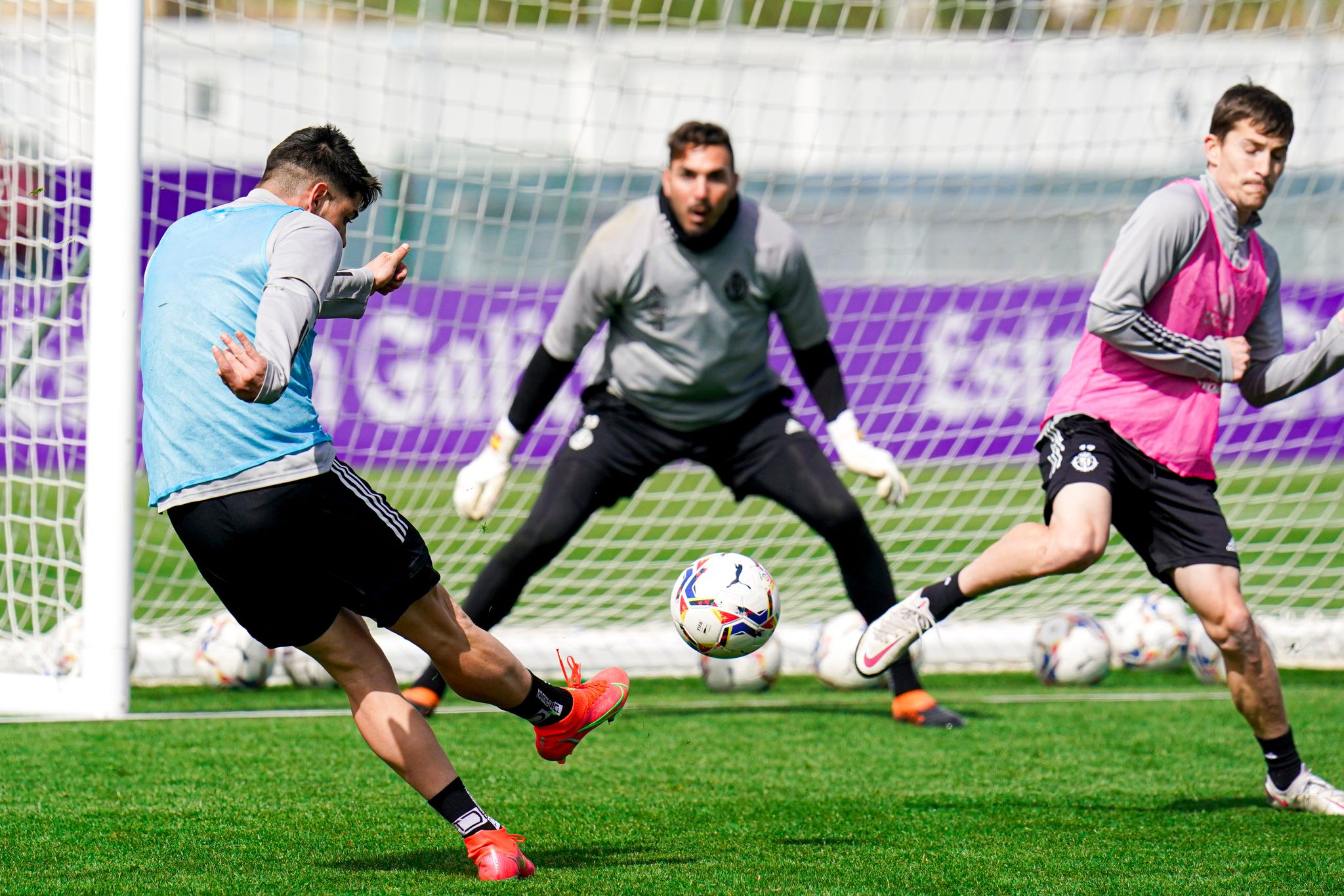 Sesión de recuperación en los Anexos Real Valladolid CF Web Oficial