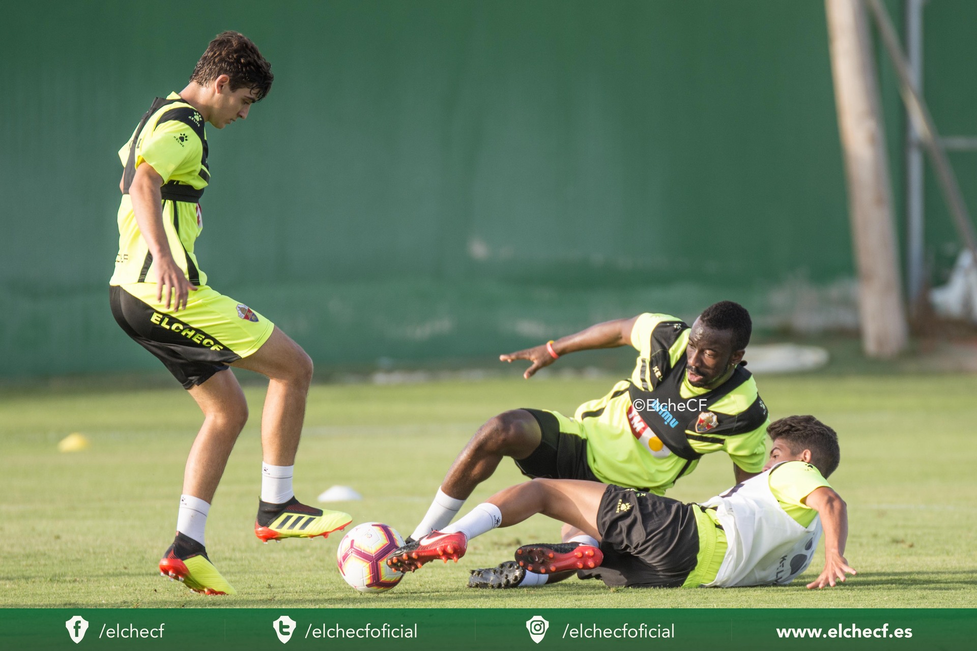 EQUIPO | Plan de entrenamientos (8-14 octubre) | Elche CF | Web Oficial