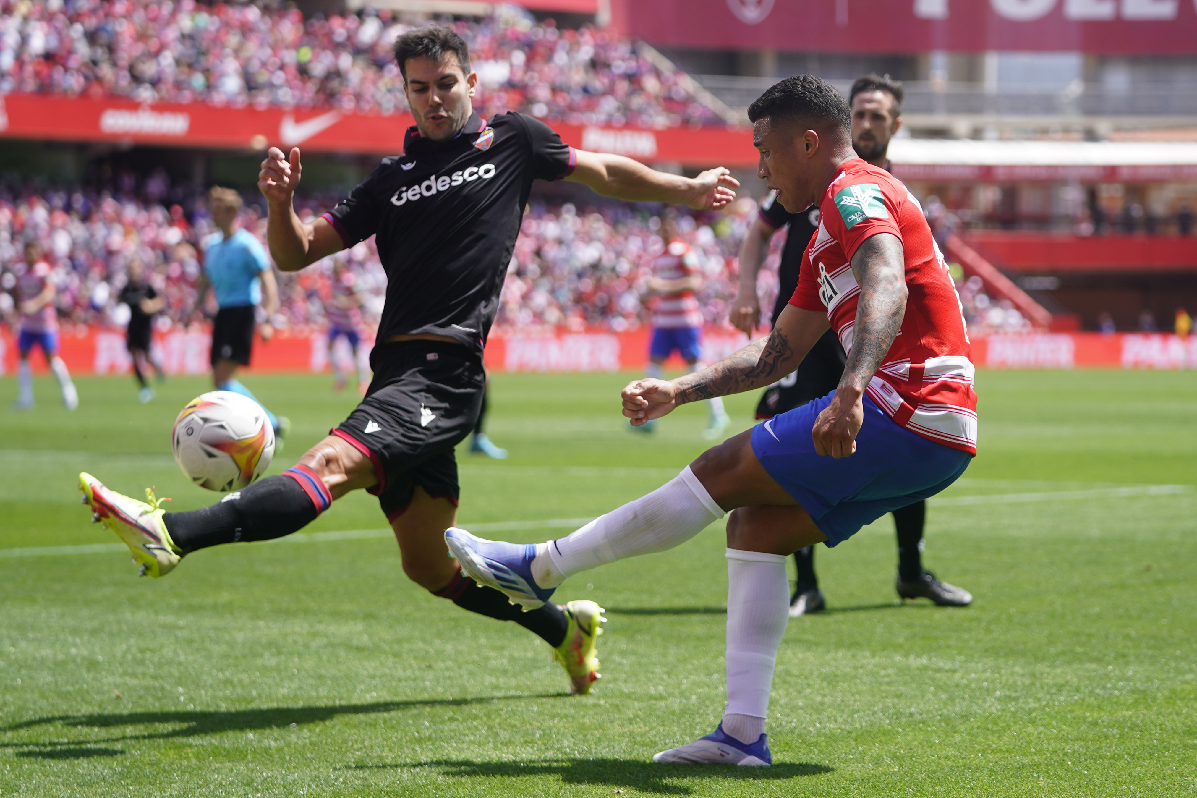Galería de fotos: las imágenes del Granada CF vs Levante UD (1-4 ...