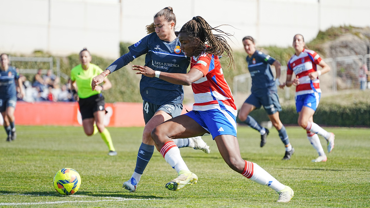El Granada Femenino vuelve a vencer en casa (2-1) | Granada CF | Web ...
