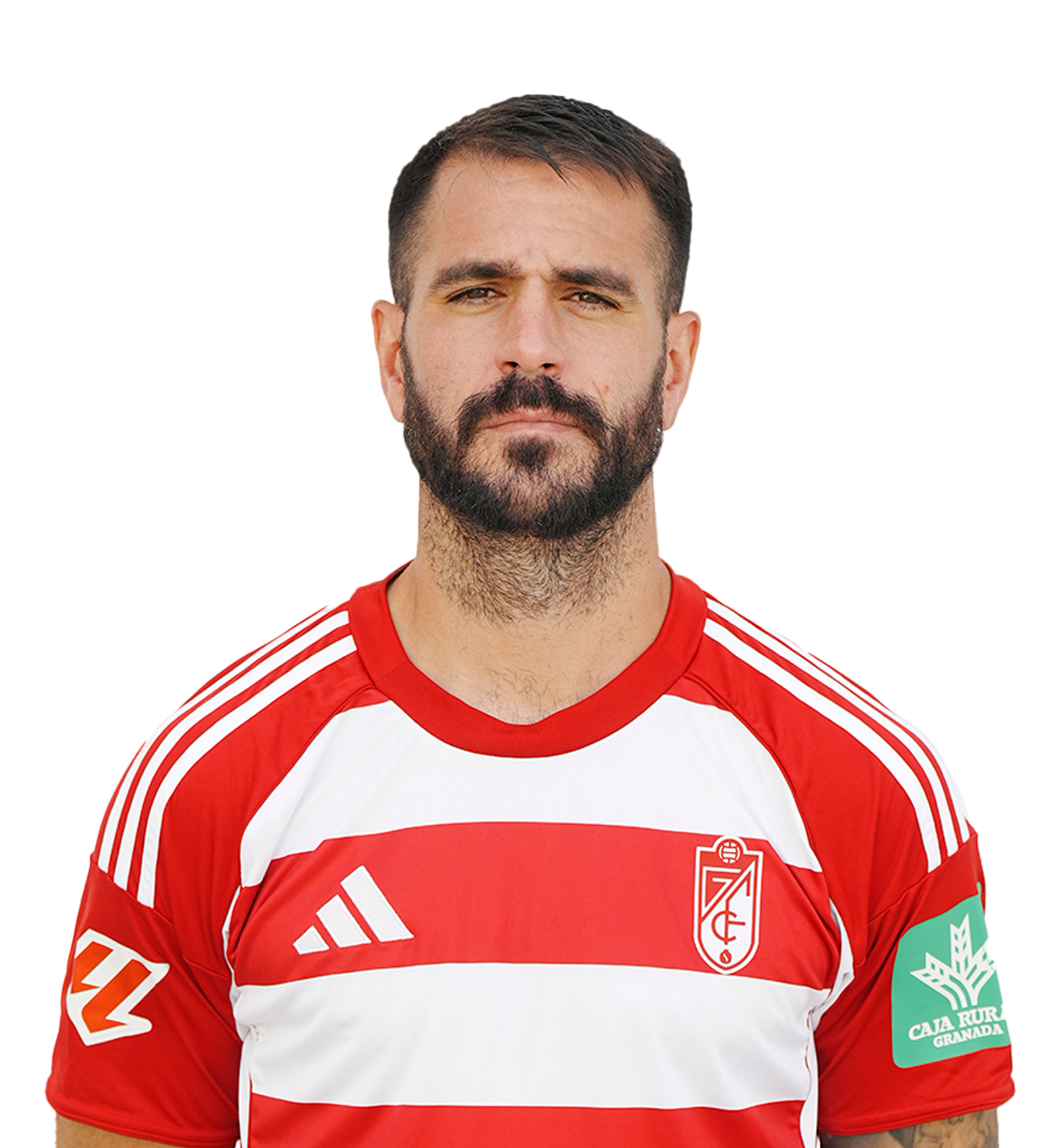 Insua