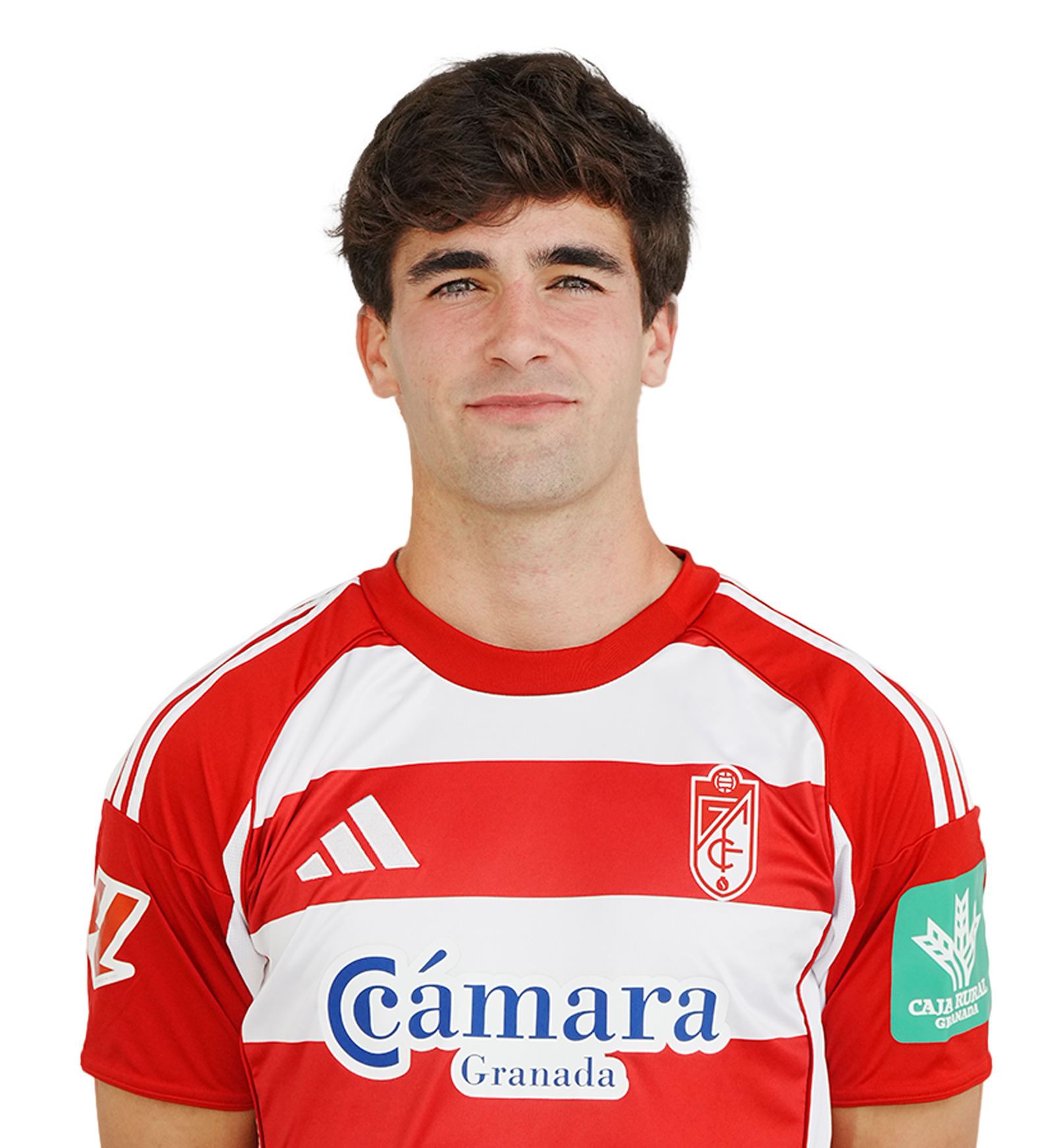 Pedro Alemañ