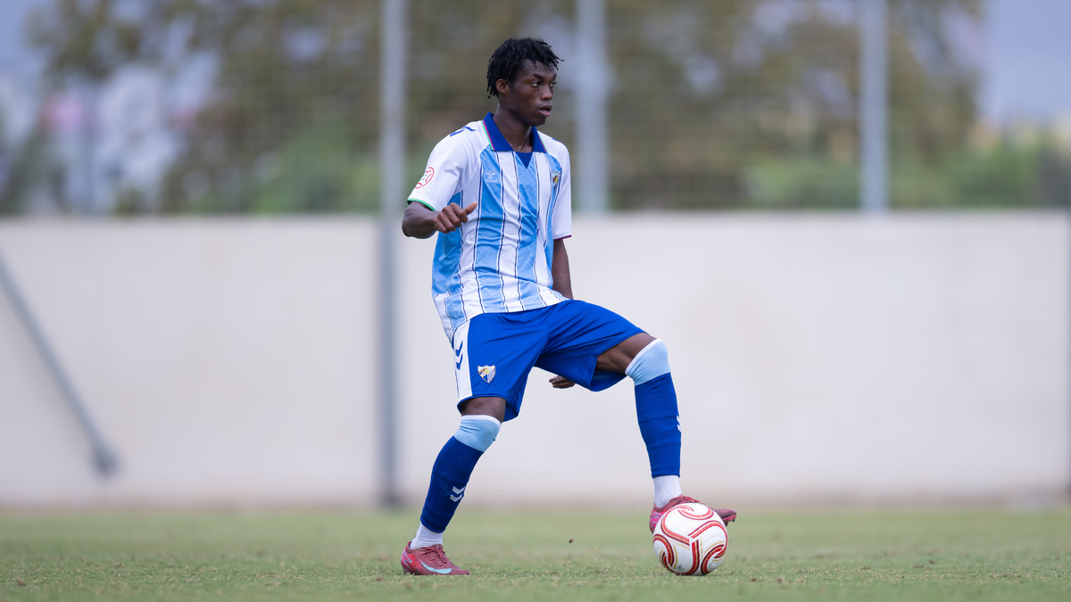 MCF Academy Schedules