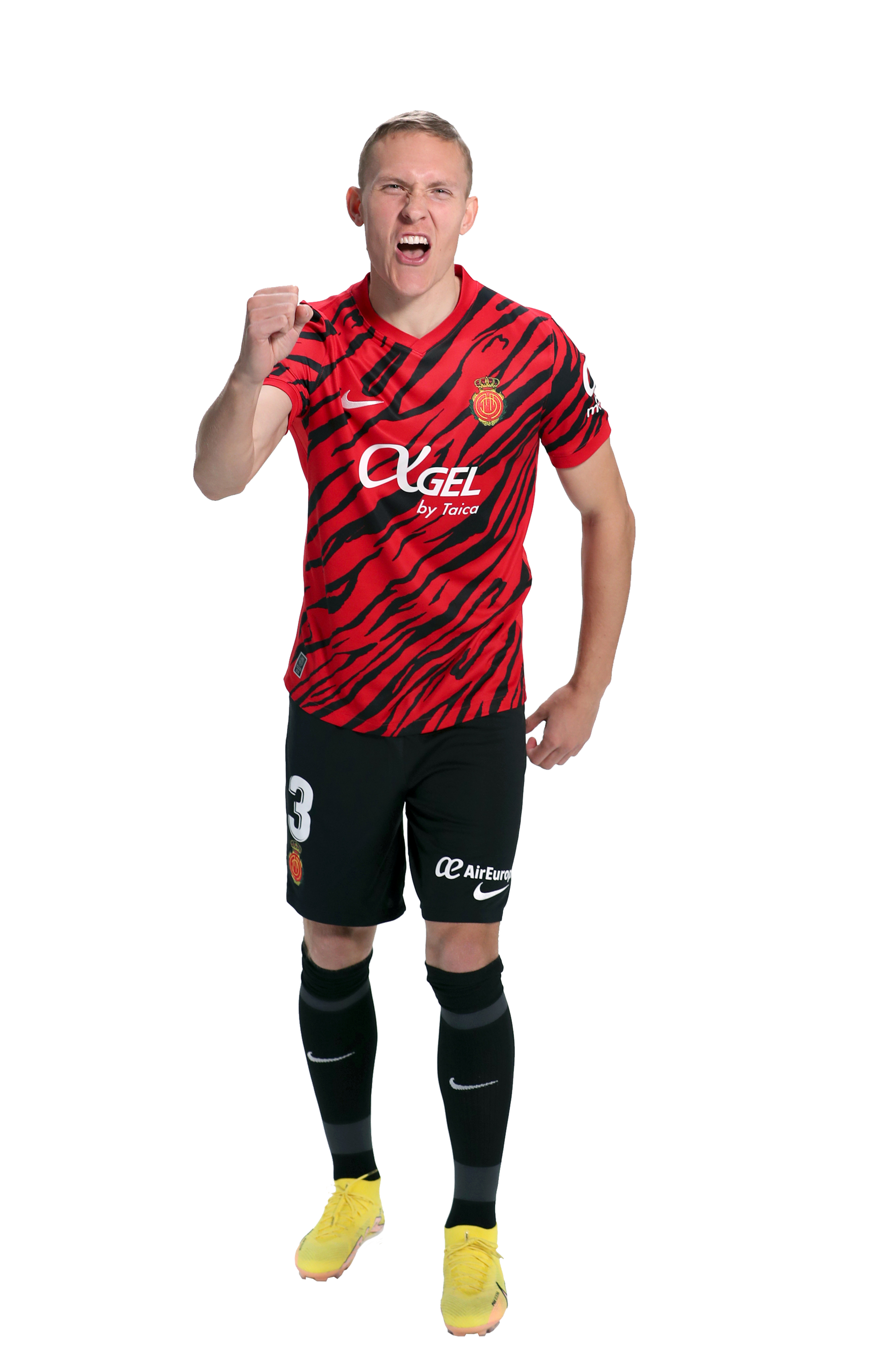 Ludwig Augustinsson