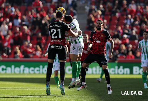 Derrota (0-1) contra el Real Betis | RCD Mallorca | Web Oficial