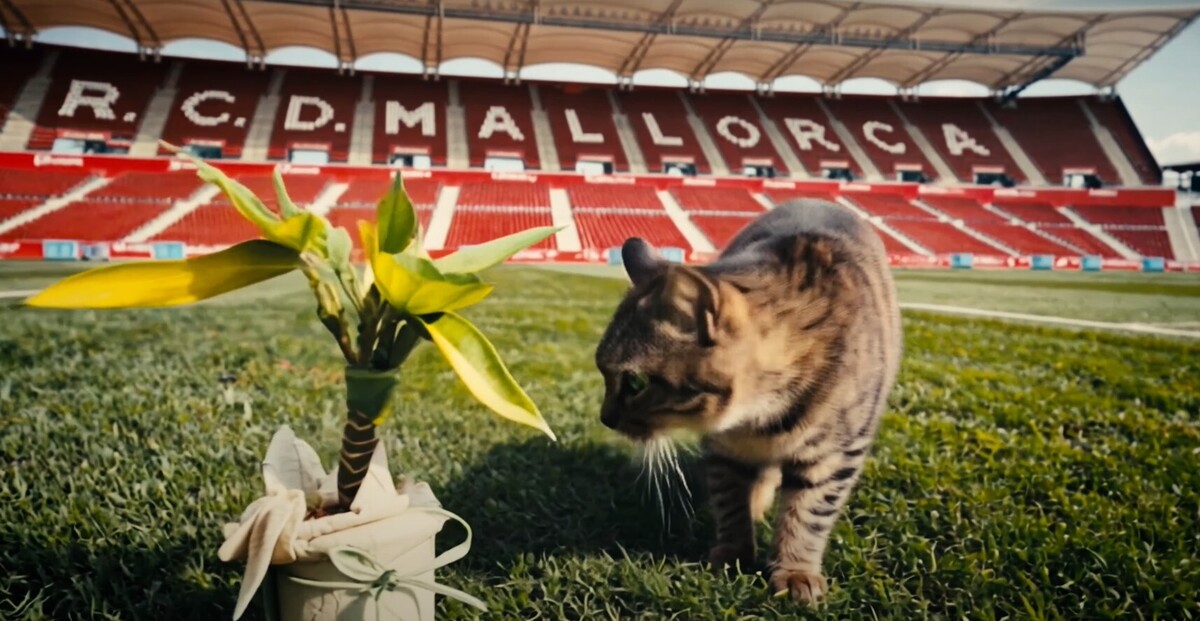 El Estadi Mallorca Son Moix, escenario del videoclip de la canción del ...