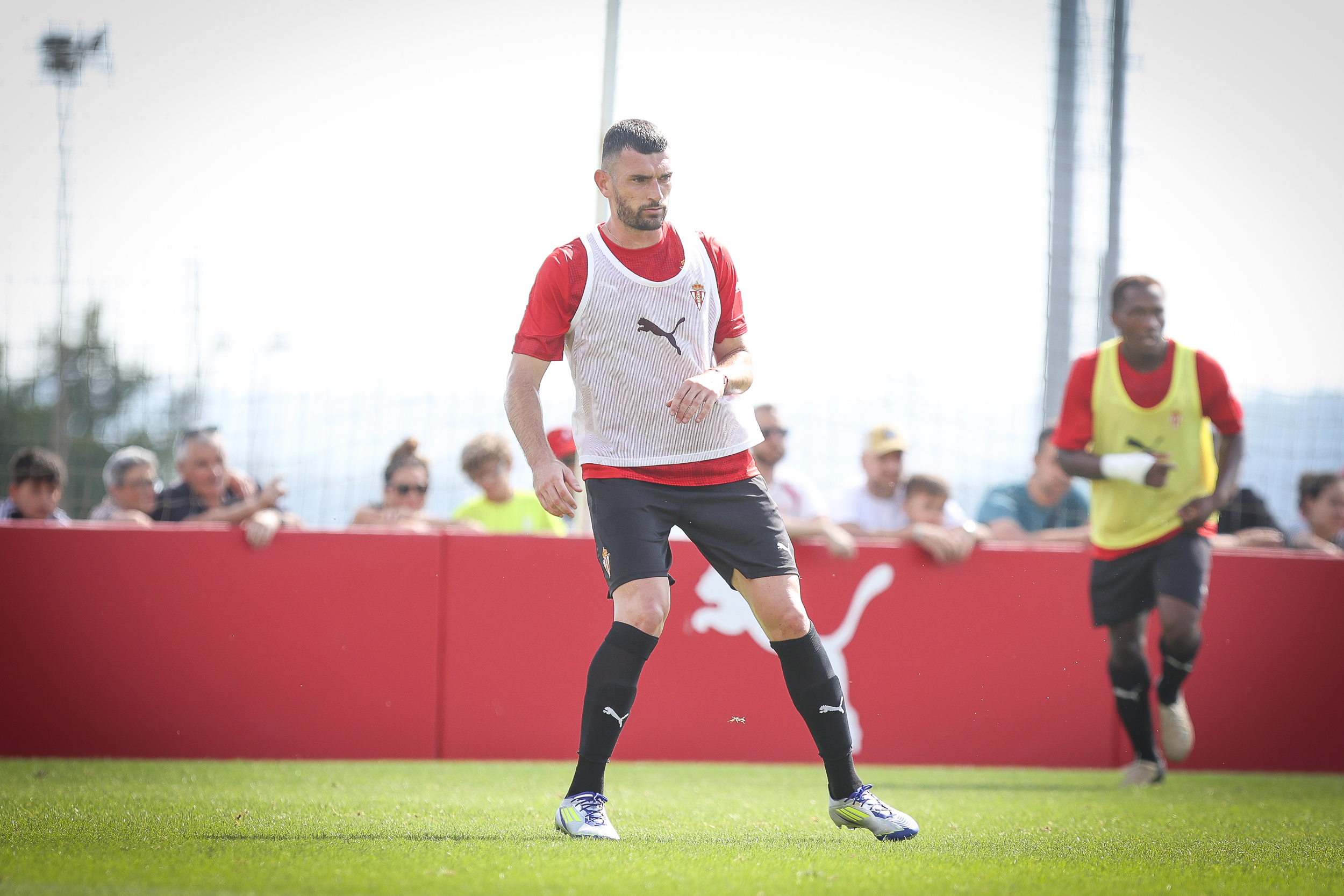 Asstr nepi stories reached out to connect with Arianas