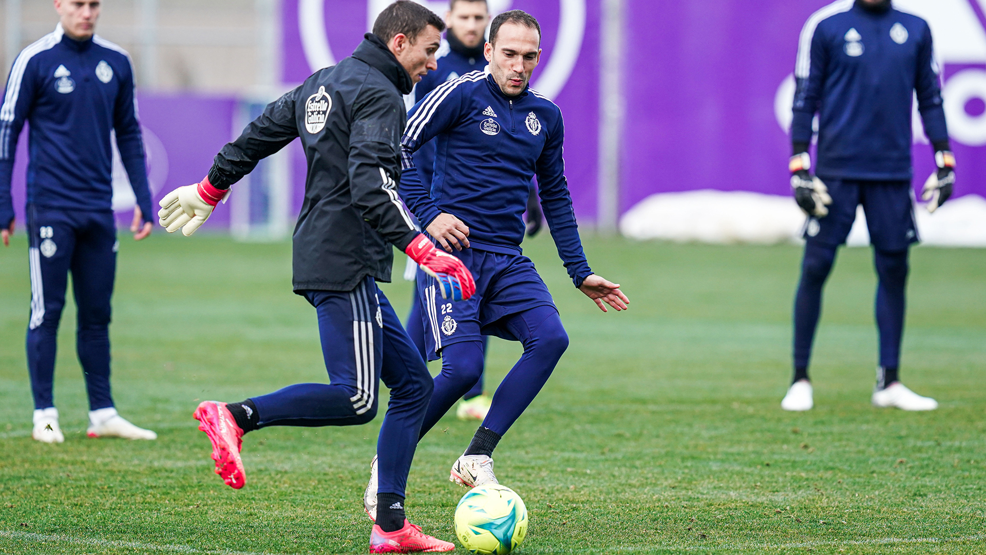 Seis sesiones en semana sin competición | Real Valladolid CF | Web Oficial